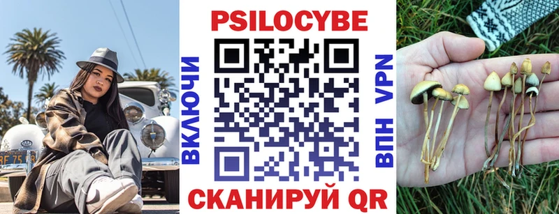 Псилоцибиновые грибы Cubensis  где продают наркотики  Нарткала 